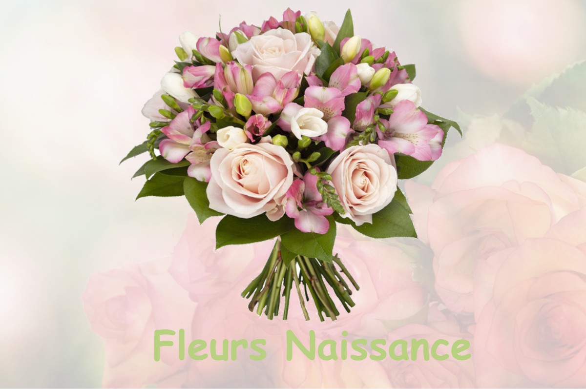 fleurs naissance BOSSIEU