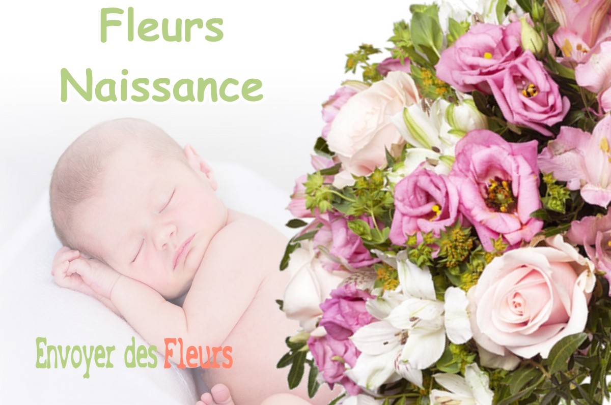 lIVRAISON FLEURS NAISSANCE à BOSSIEU