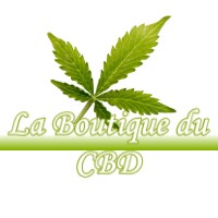 LA BOUTIQUE DU CBD BOSSIEU 